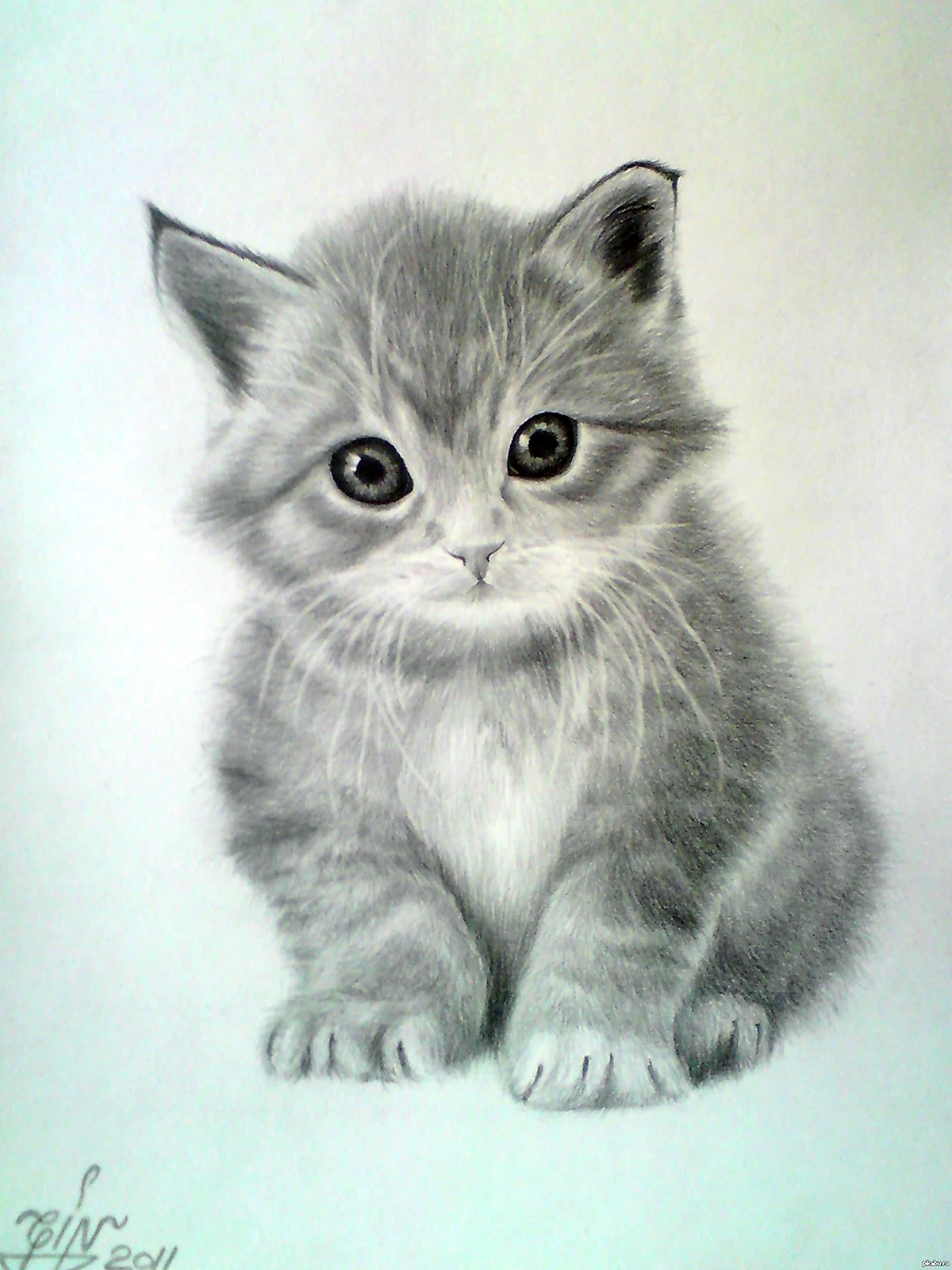 Котенок карандашом