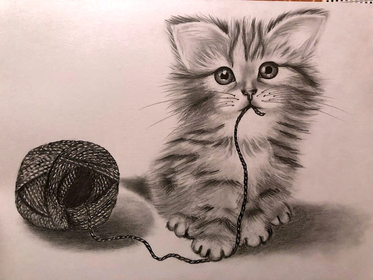 Котенок карандашом