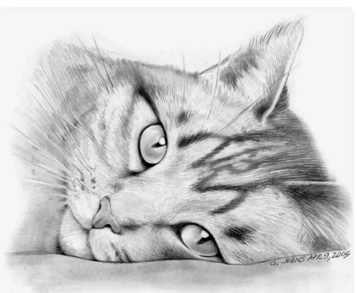 Котик карандашом