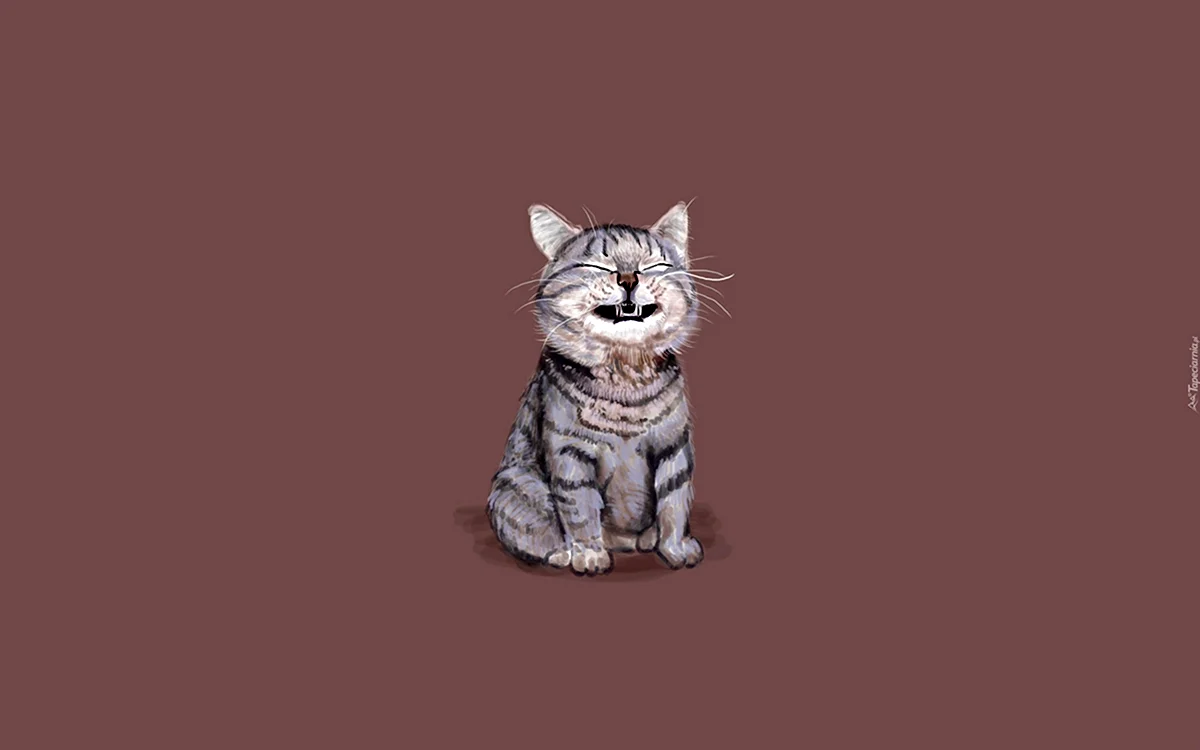 Котик Минимализм