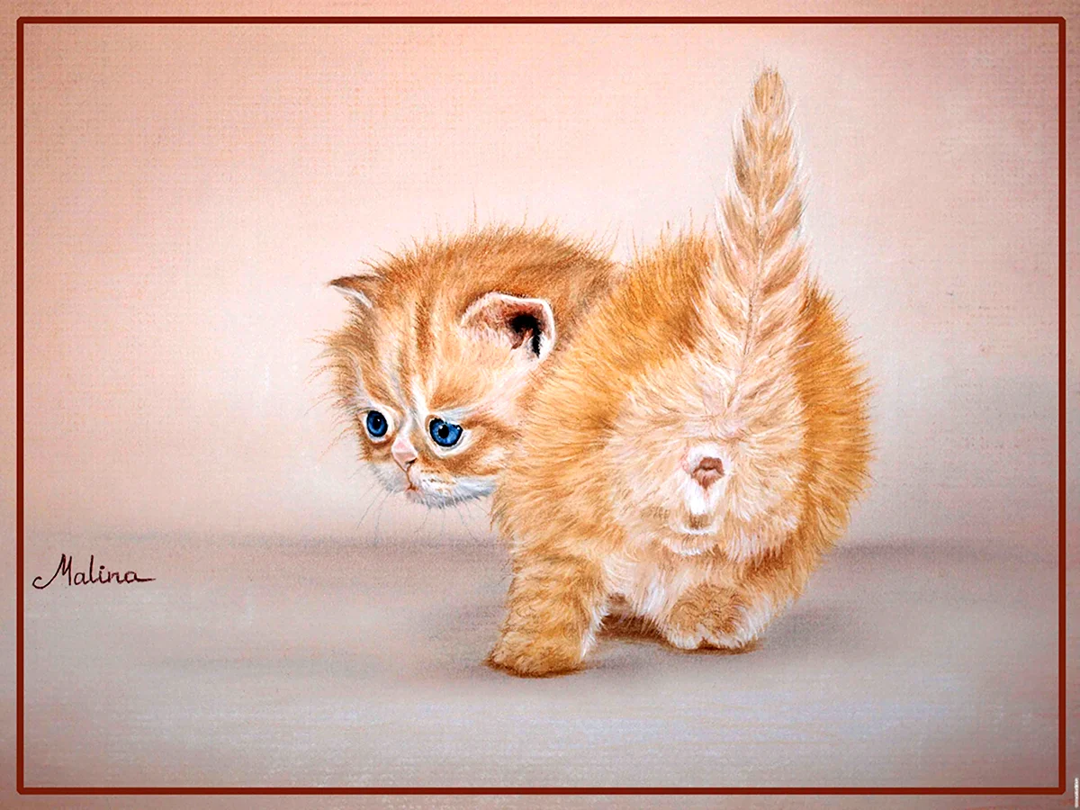 Коты пастелью