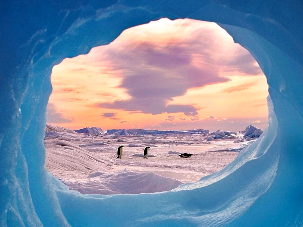 Антарктида красивые места