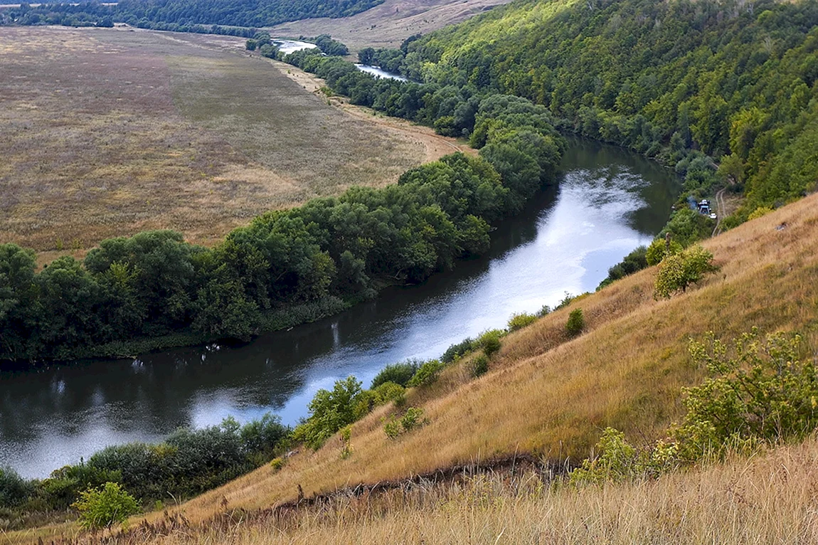 Рыбалка на красивой мече (33 фото)