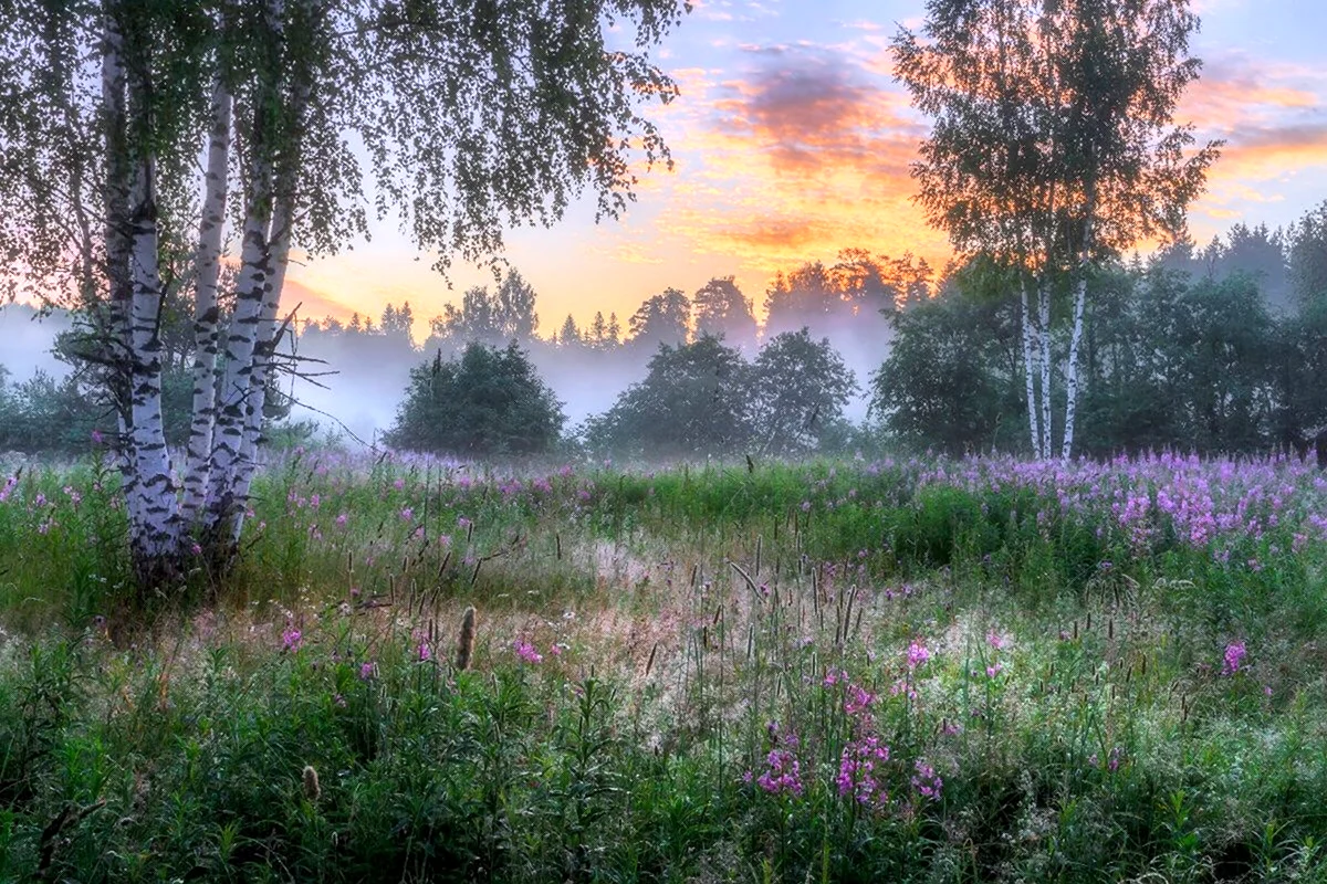 Весна рассвет (47 фото)