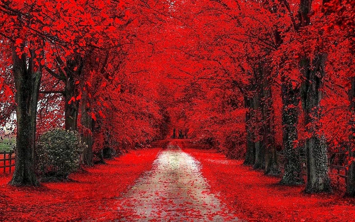 Красный
