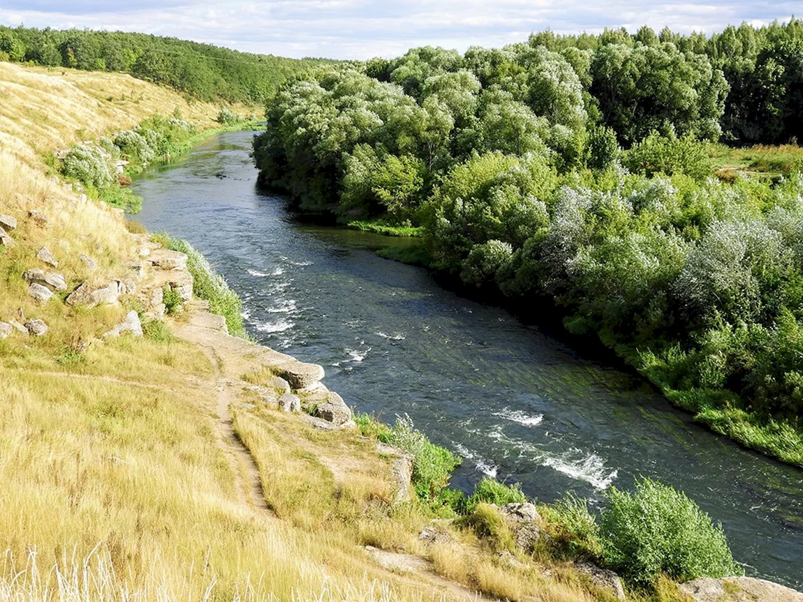 Кураповские скалы Лебедянь