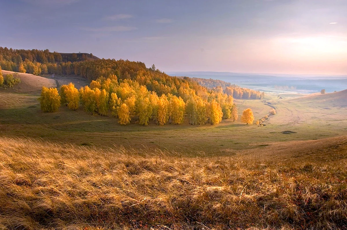 Леса Татарстана Чатыр Тау