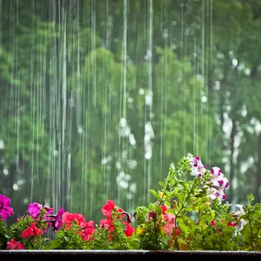 Дождь красивый летний