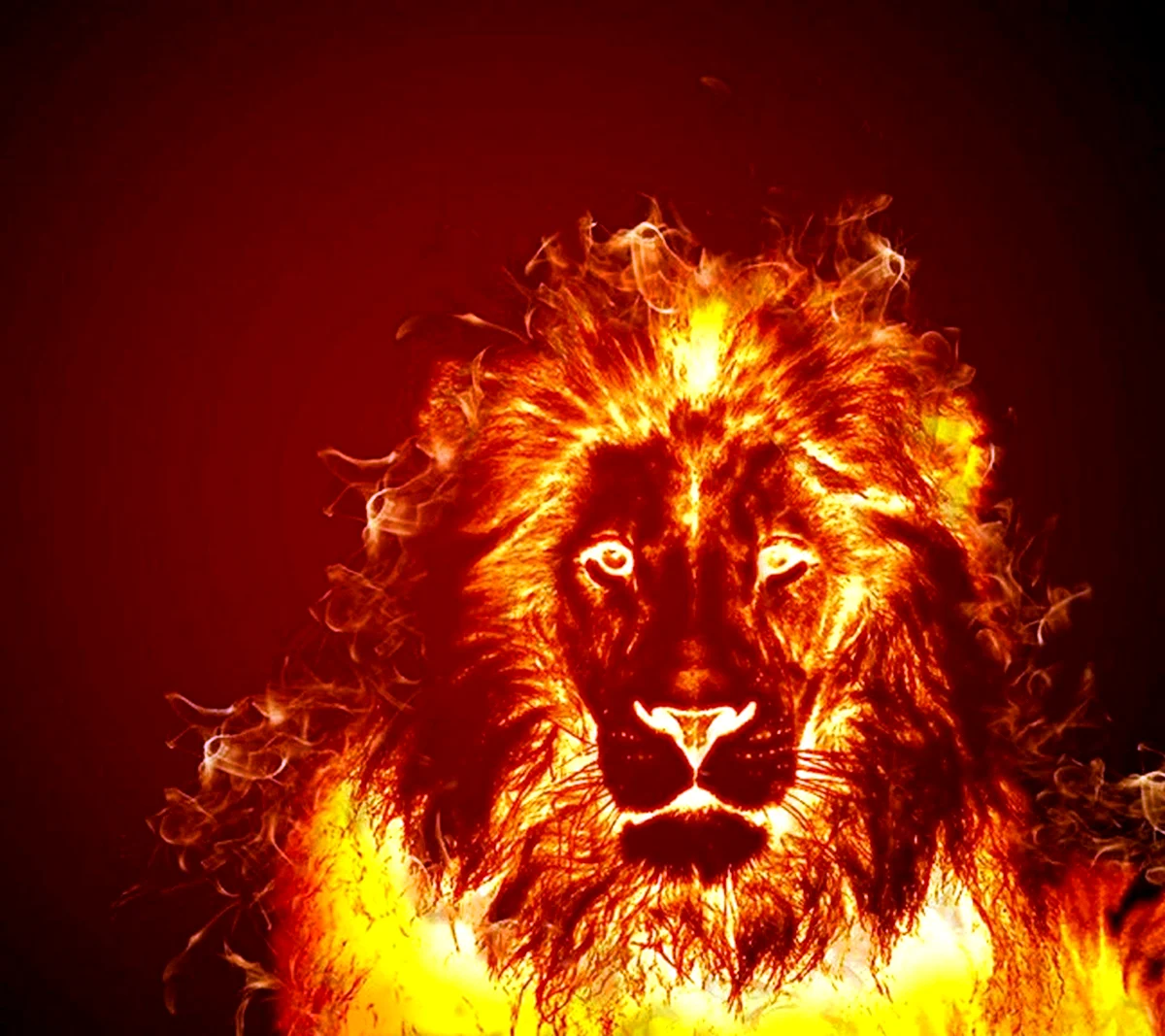 Огненный лев