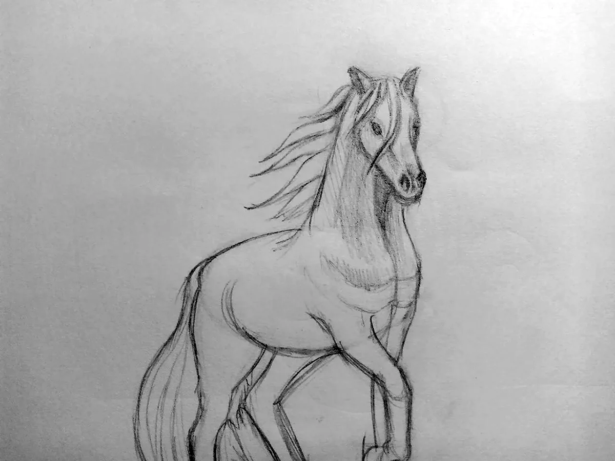 Лошадь рисунок карандашом