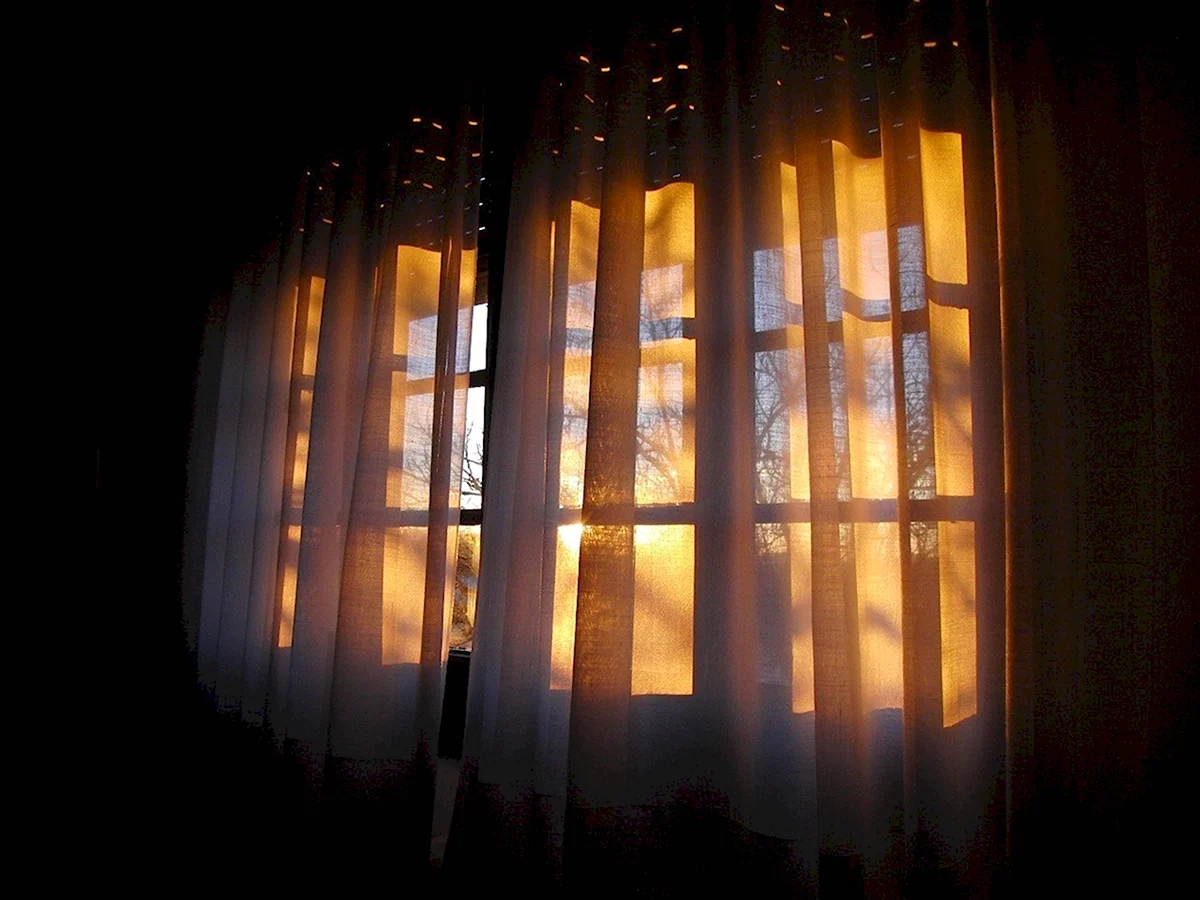 Свет из окна