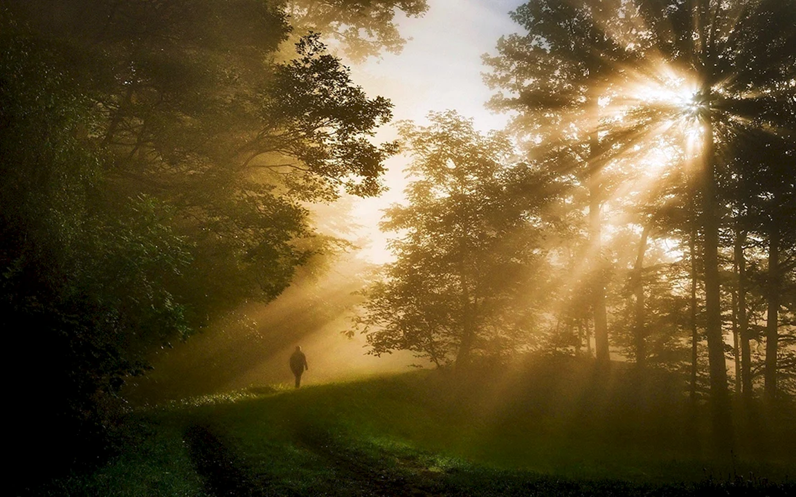 Лучи солнца
