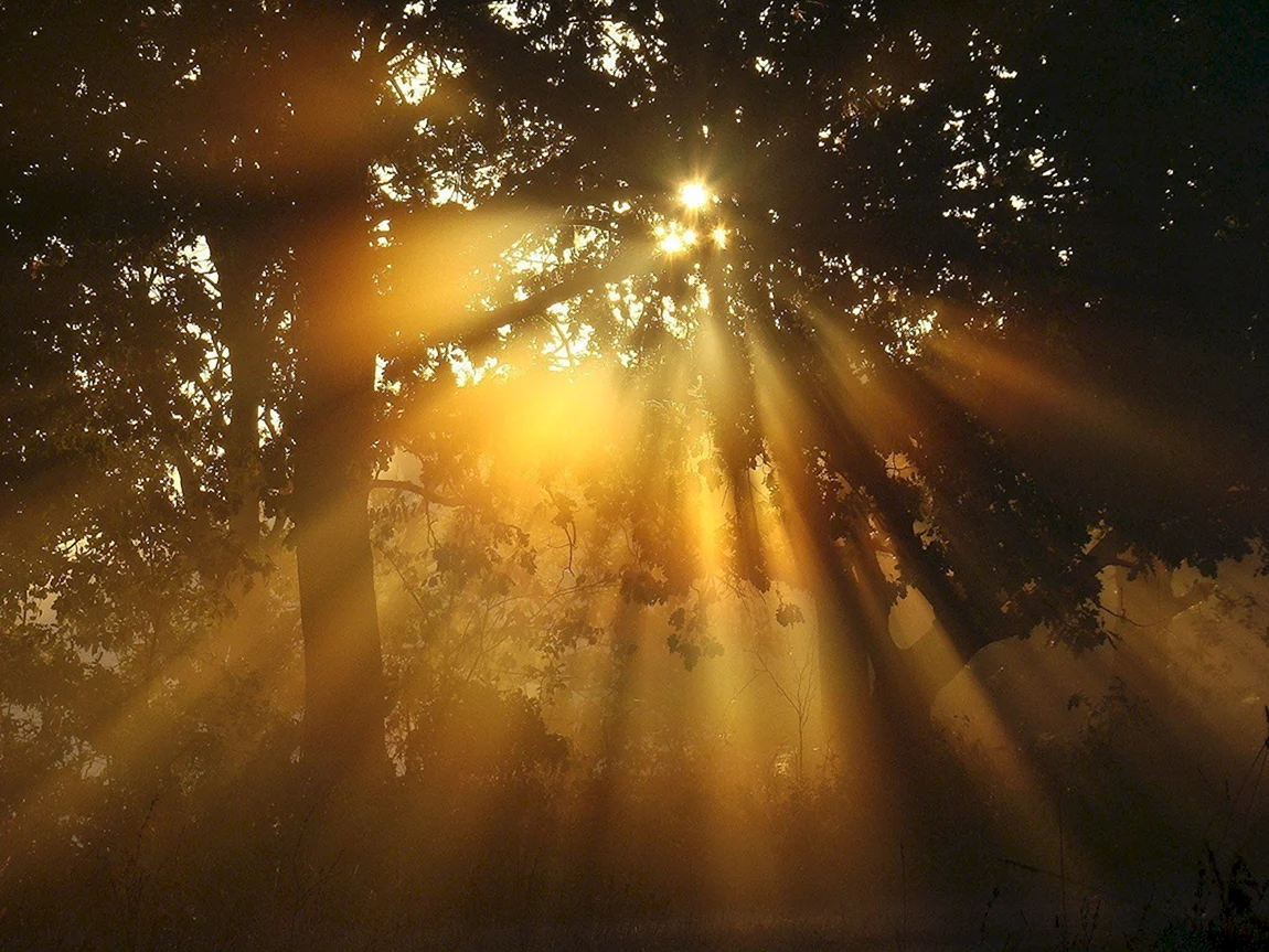 Лучи солнца