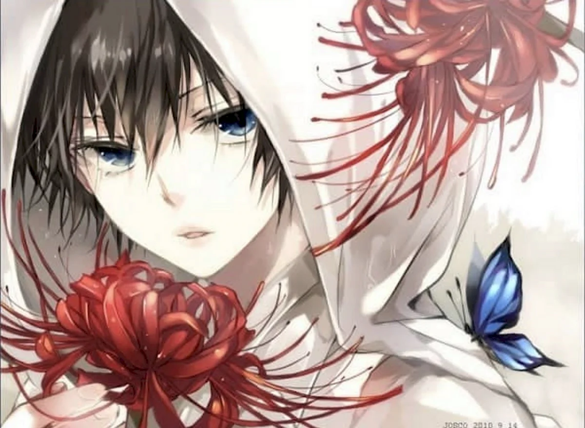 Lycoris аниме