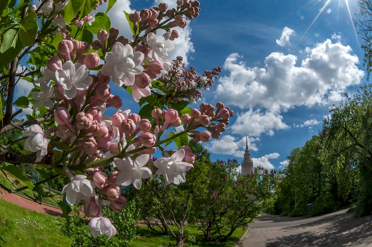 Фото мая месяца. Май природа. Весенний пейзаж. Природа весной.