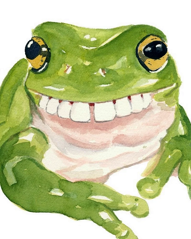 Милая лягушка арт