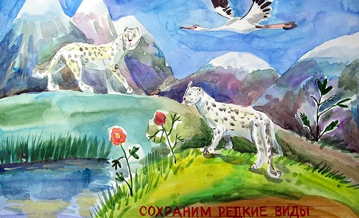 Мир заповедной природы конкурс
