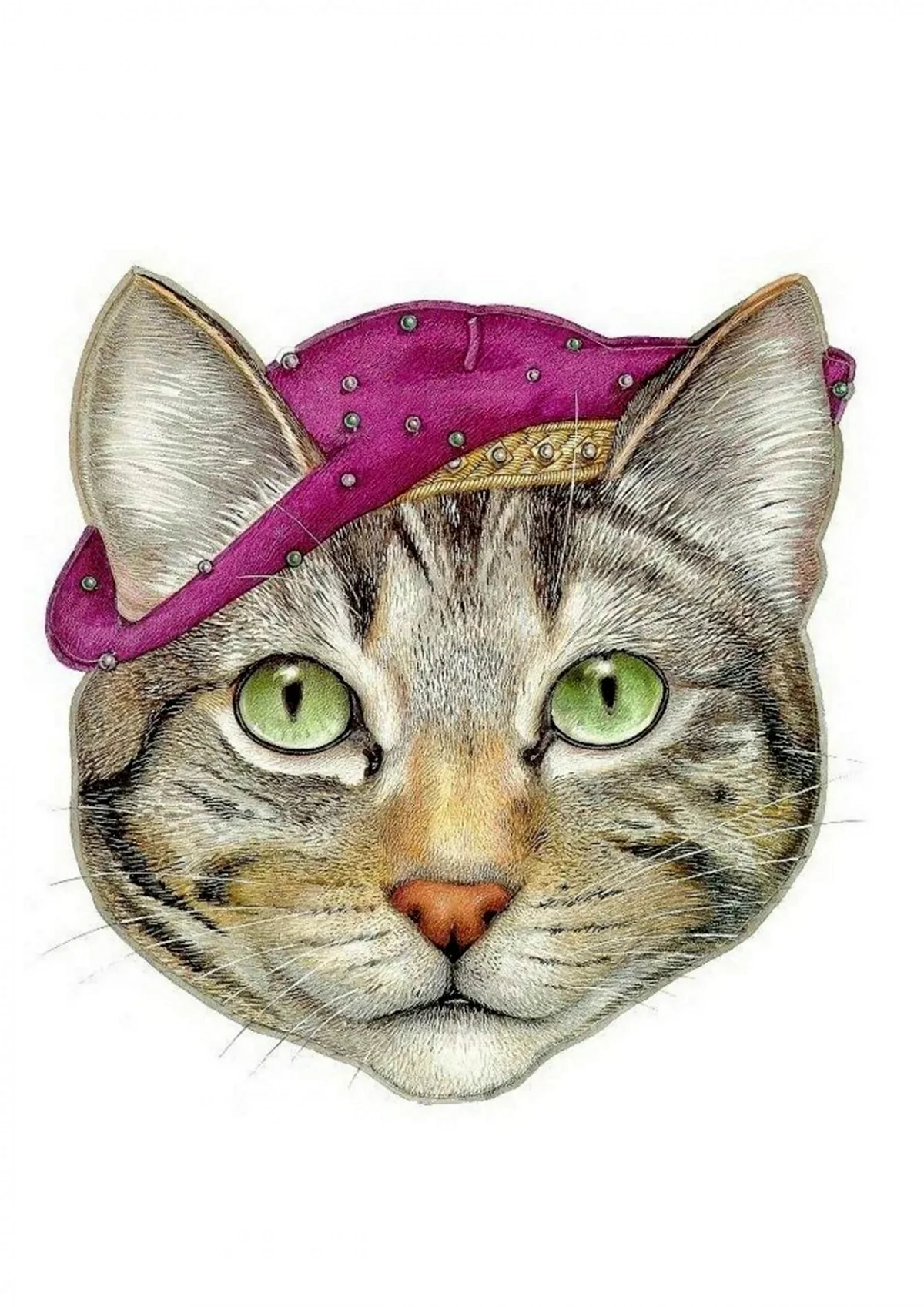 Морда кота