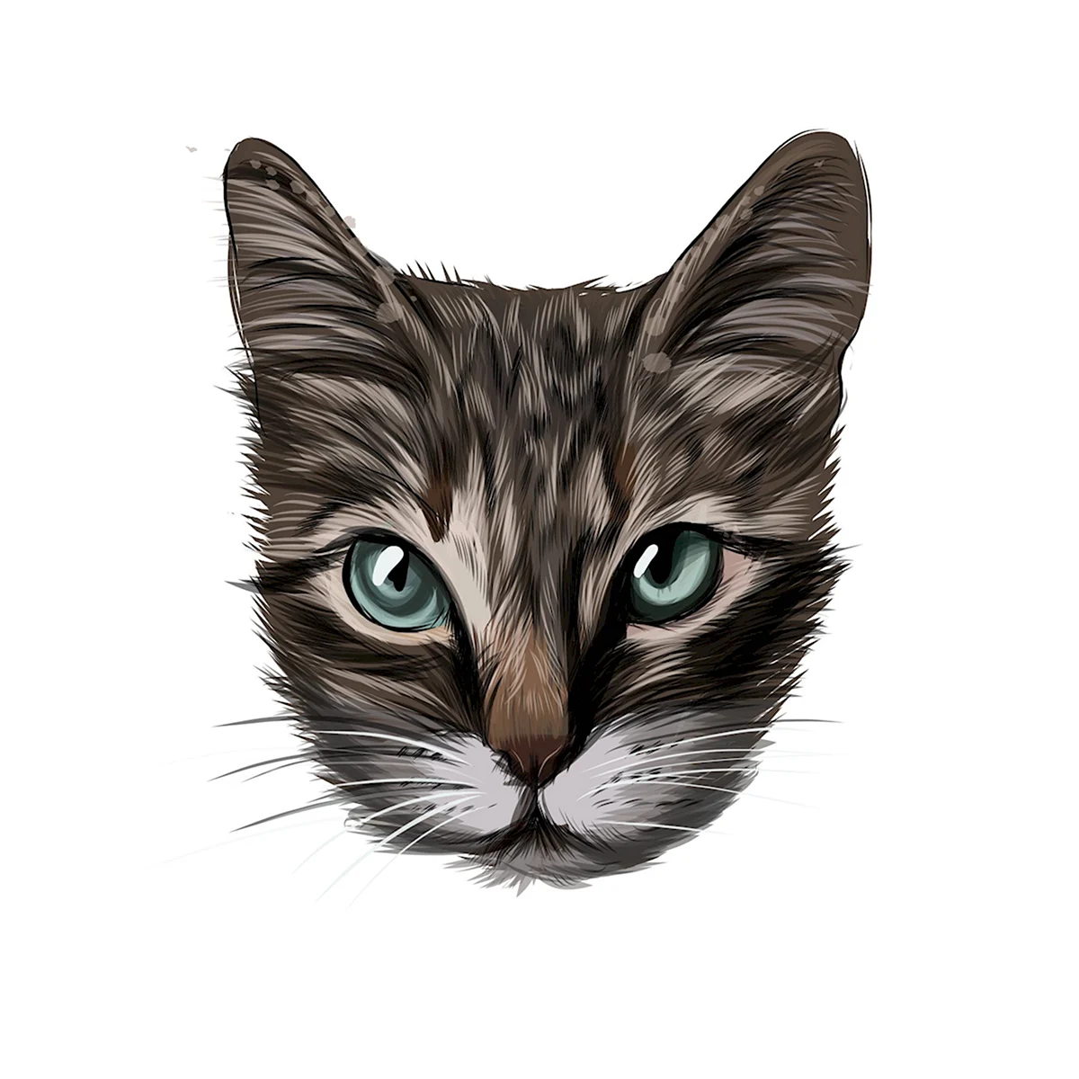 Мордочка кота