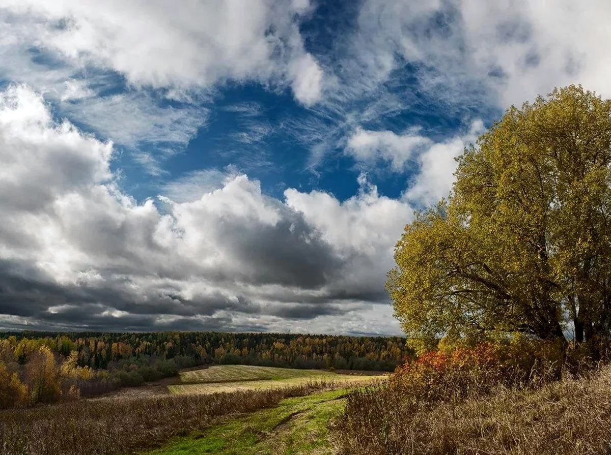 Просинь. Осеннее небо. Осень тучи. Облака осенью. Небо осенью.