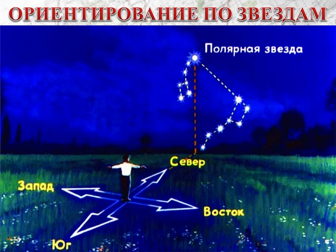 Звездное небо определение. Ориентирование на местности Полярная звезда. Полярная звезда ориентирование по ней на местности. Ориентироване по звёздам.