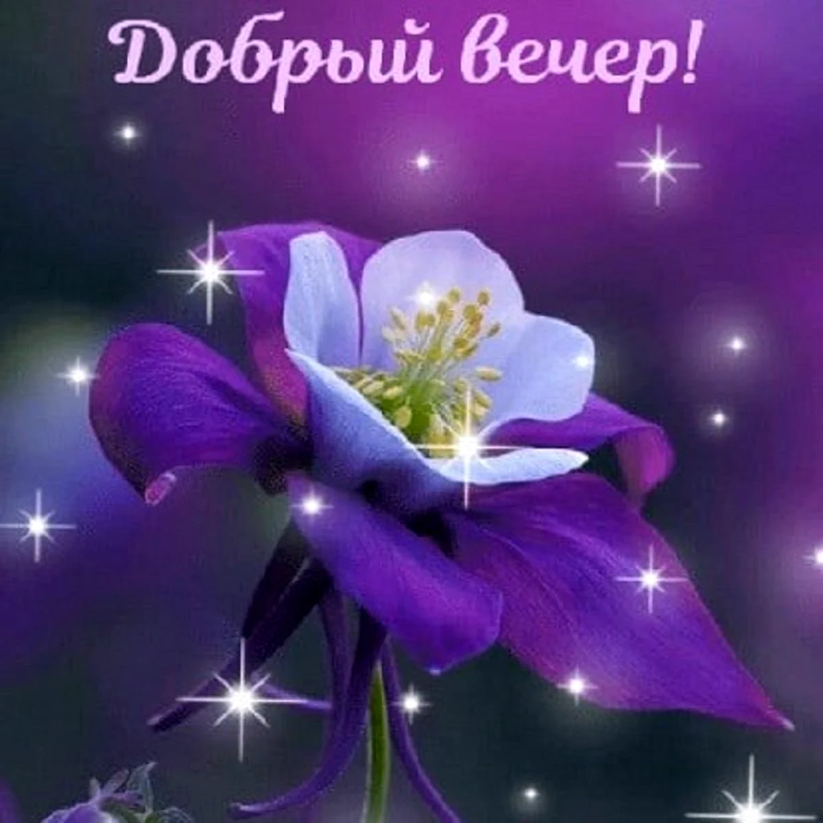 Открытки хорошего вечера