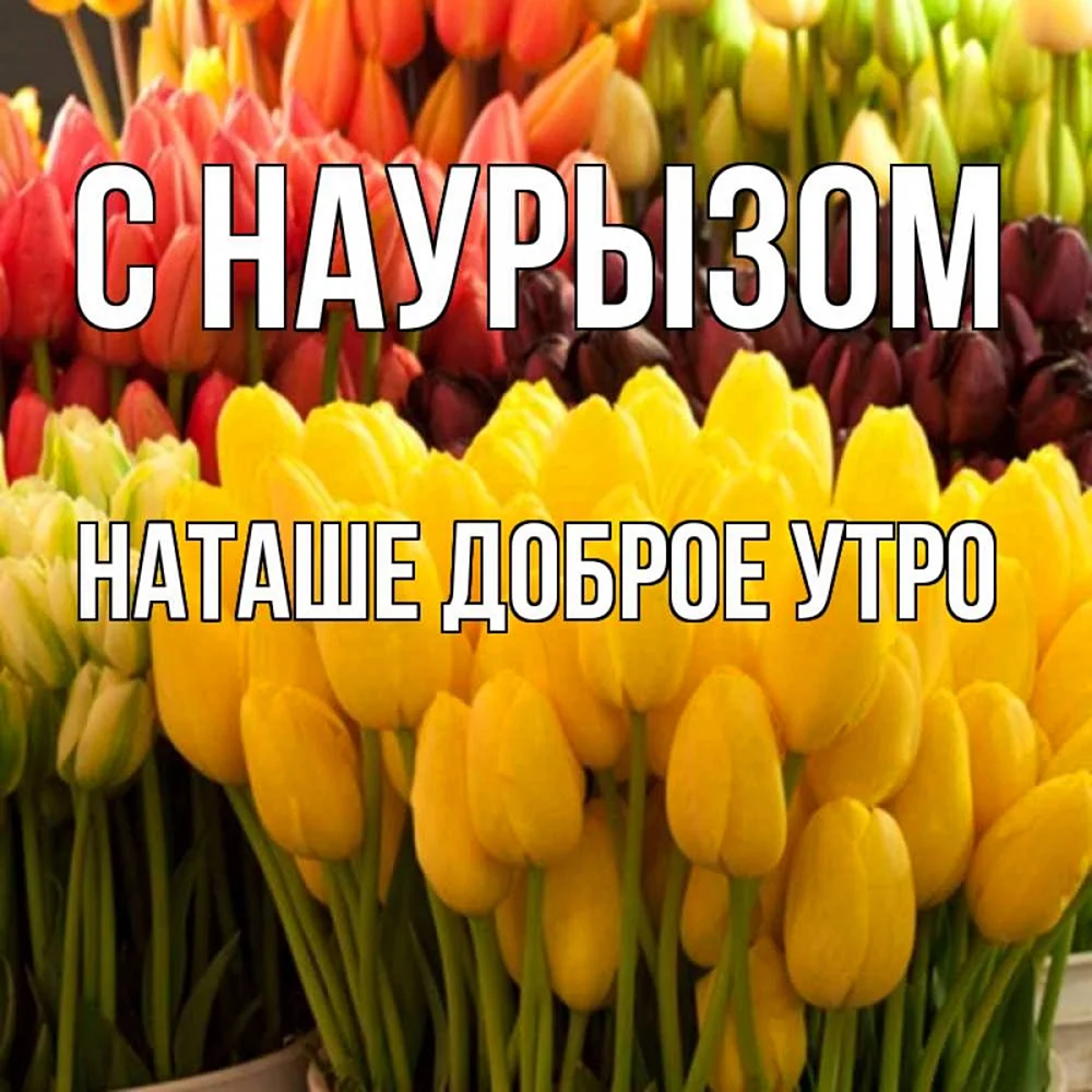Открытки с 8 марта с тюльпанами