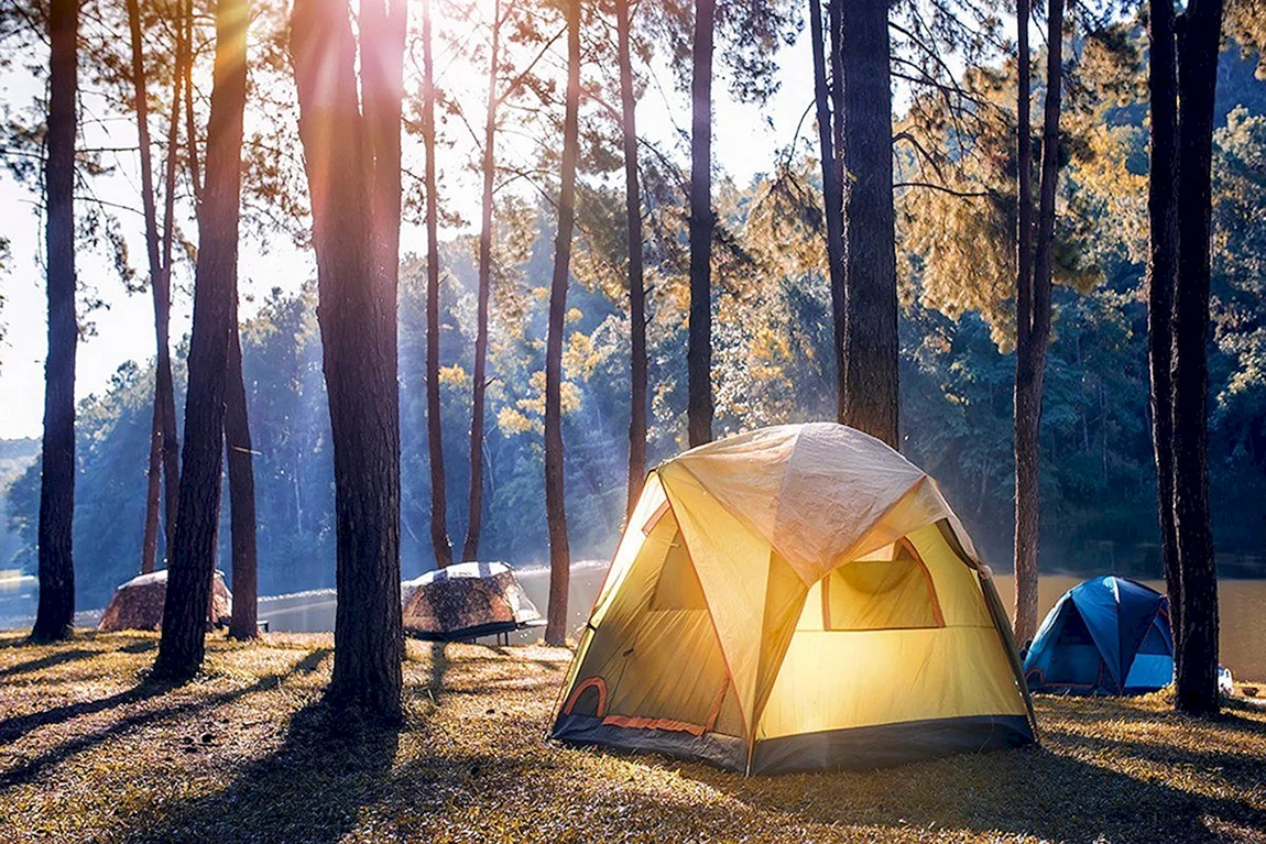 Кемпинг лес. Палатка Ronin Camp. Таганай палаточный городок. Таганай кемпинг. Таганай палаточный лагерь.