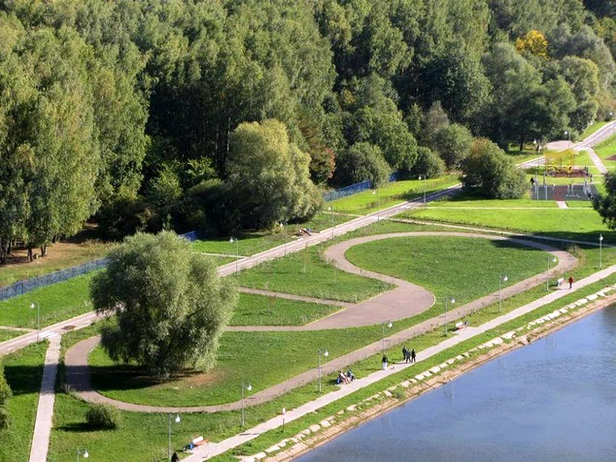 Парк нары. Парк Ровесник Зеленоград. Зеленоградский лесопарк Зеленоград. Дендропарк Зеленоград. Парк Панфиловский Зеленоград.