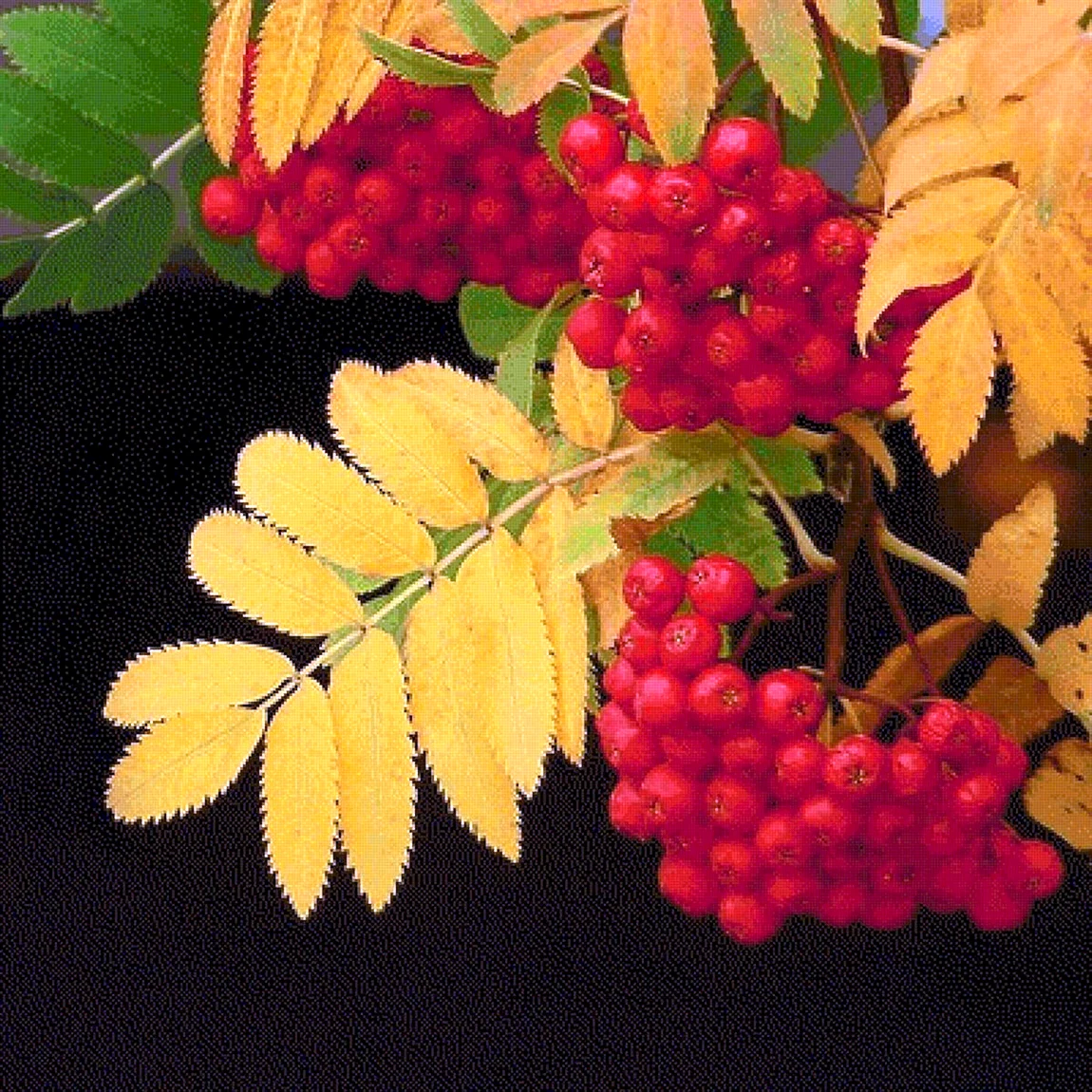 Павел рябинник