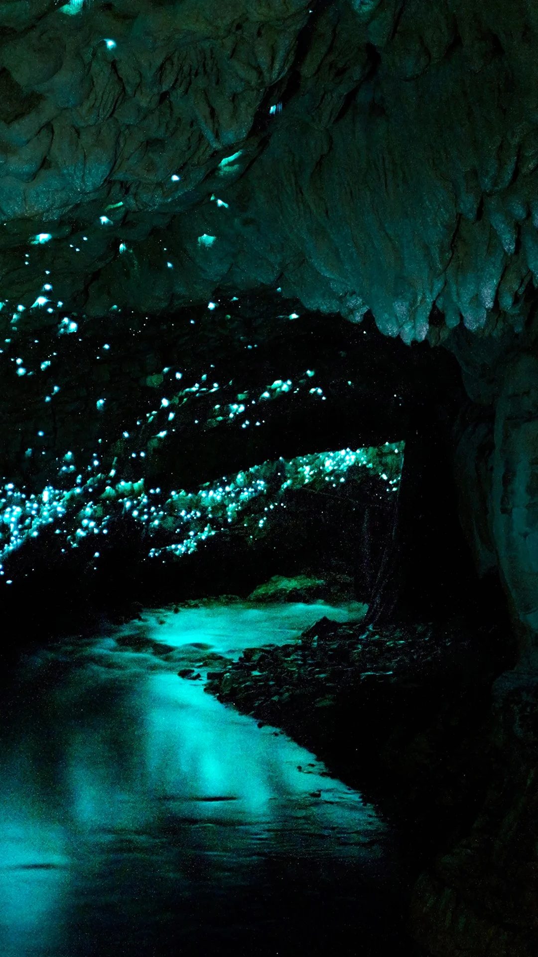 Waitomo caves. Пещеры Вайтомо новая Зеландия. Пещеры светлячков Вайтомо. Пещеры Вайтомо (Waitomo Caves). Светящиеся пещеры Вайтомо новая Зеландия.