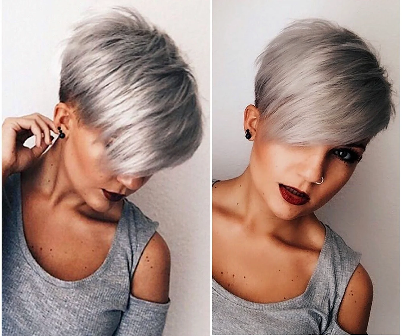 Пикси Боб пепельный блонд