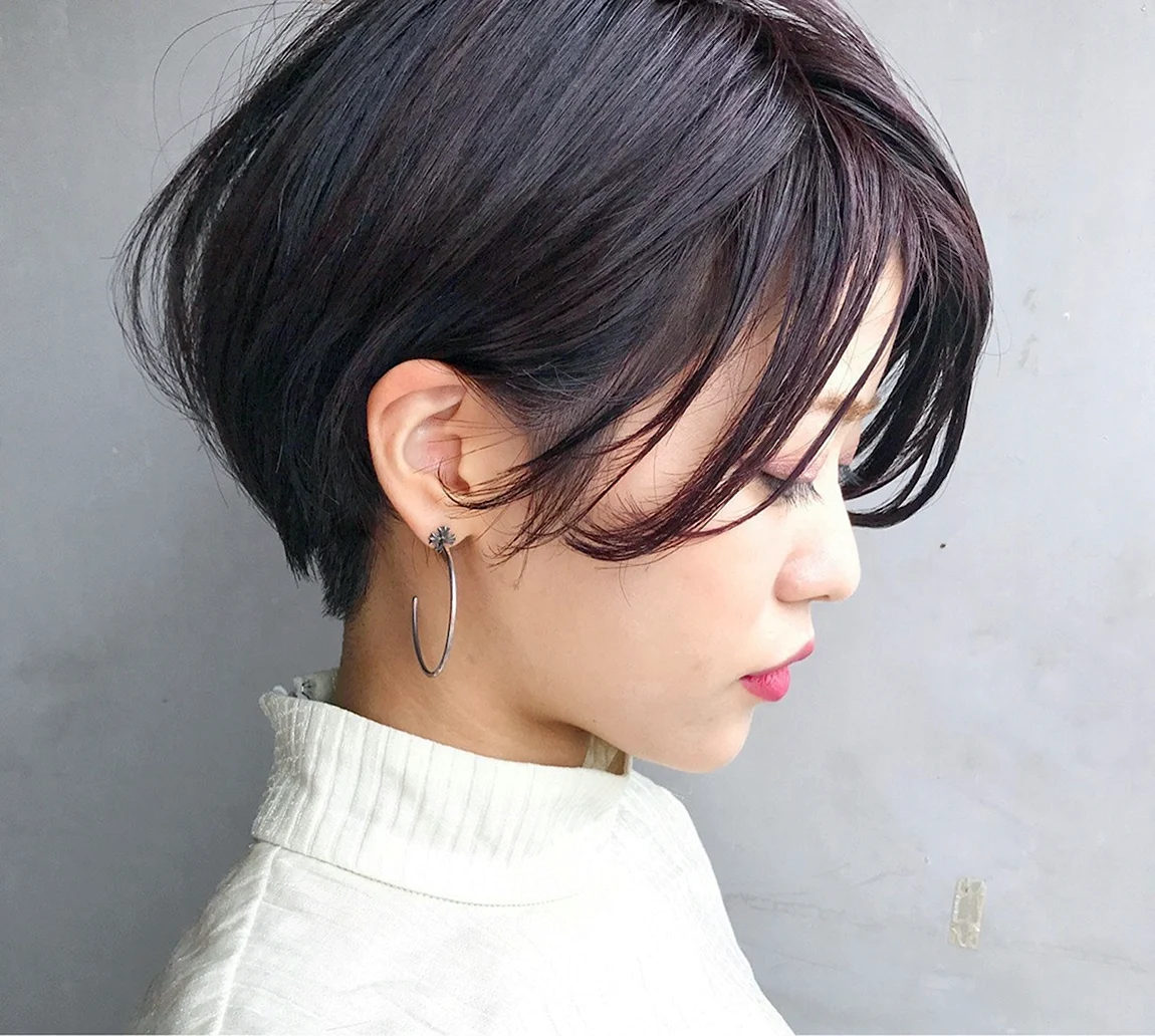 Pixie Bob стрижка Корея