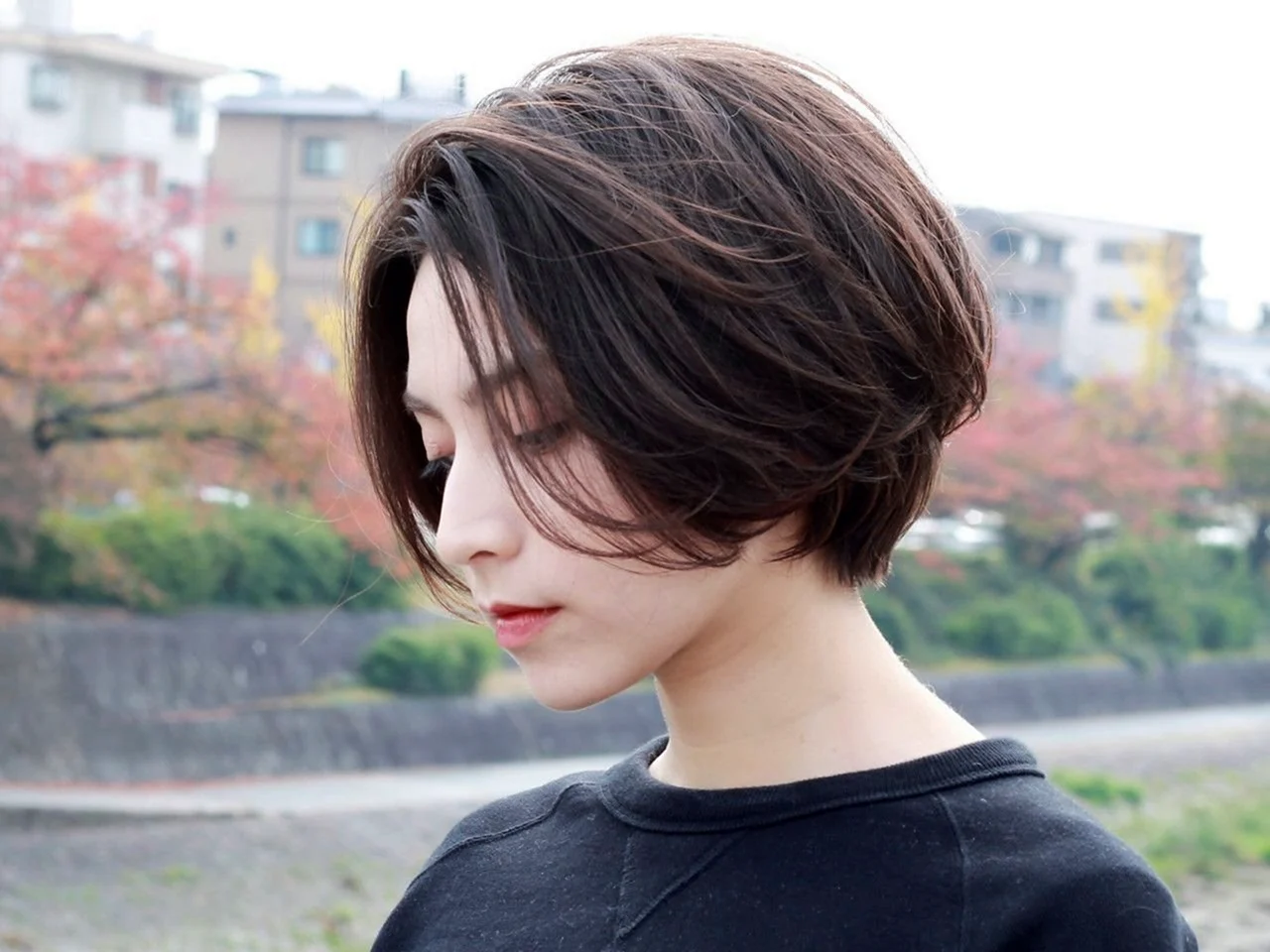 Pixie Bob стрижка Корея