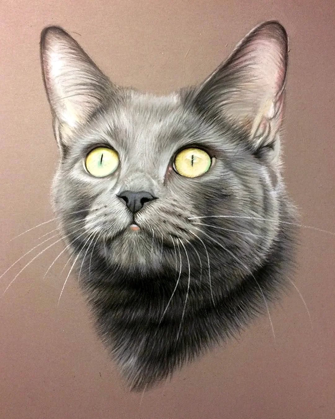 Портрет кота