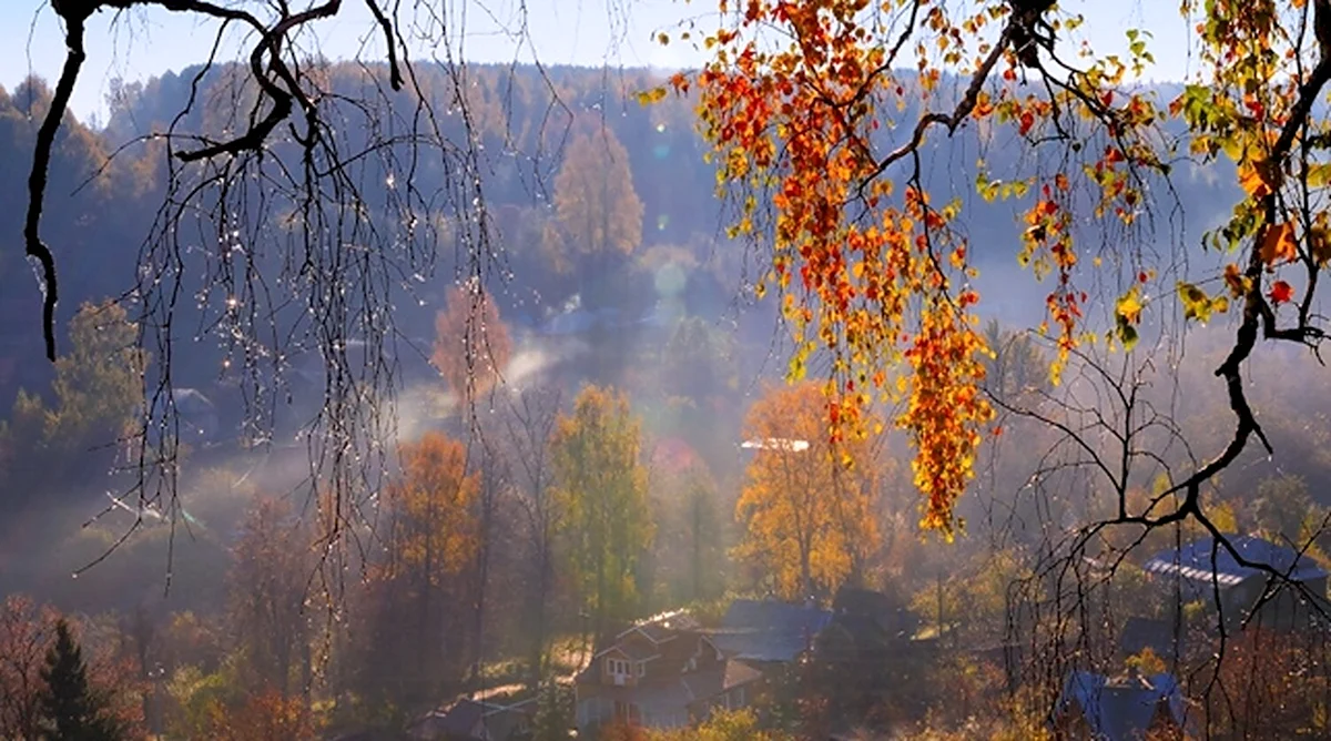 Поздняя осень дождь