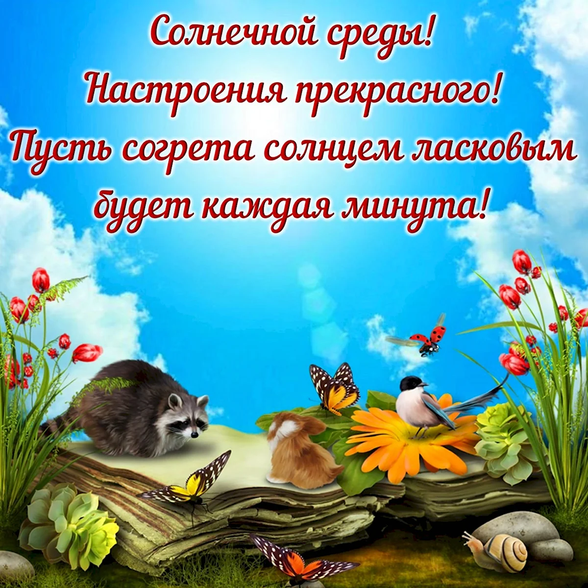 Открытки позитивной среды