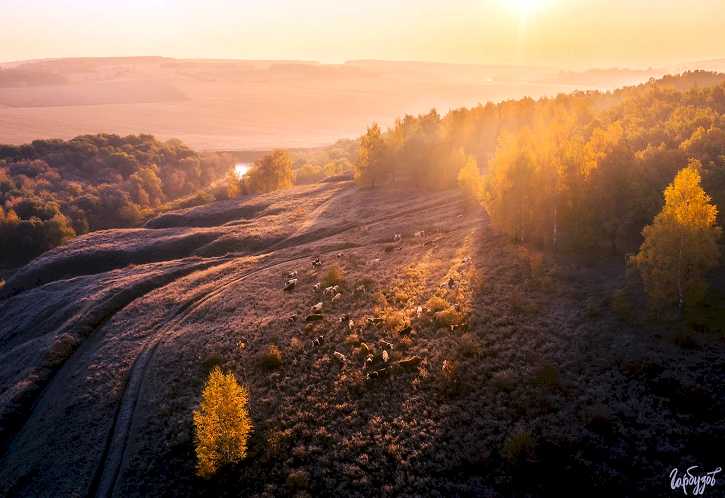 Прекрасные Тульские пейзажи