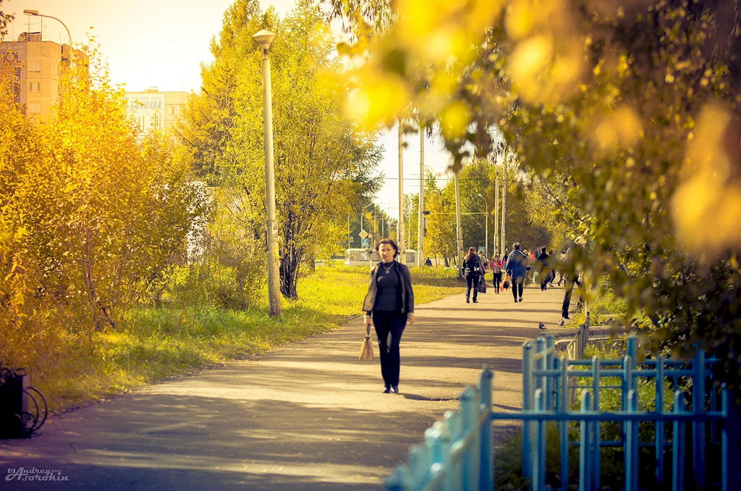 Природа города Нерюнгри