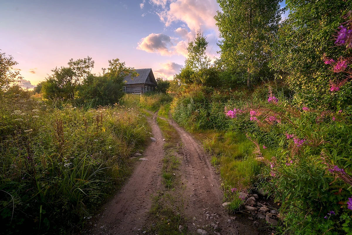 Лето в деревне (34 фото)