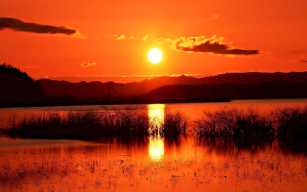 Природа закат