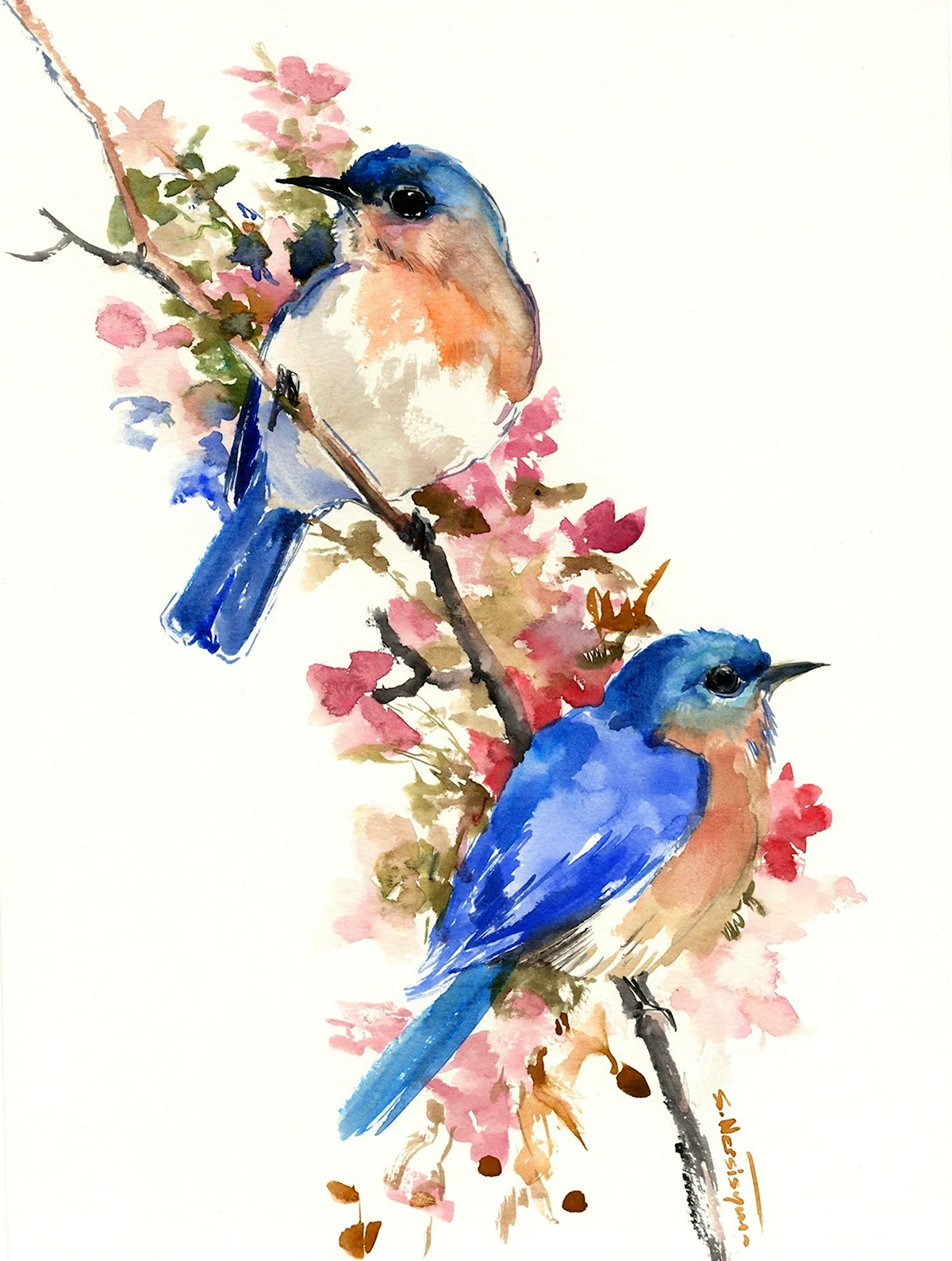 Птицы акварелью