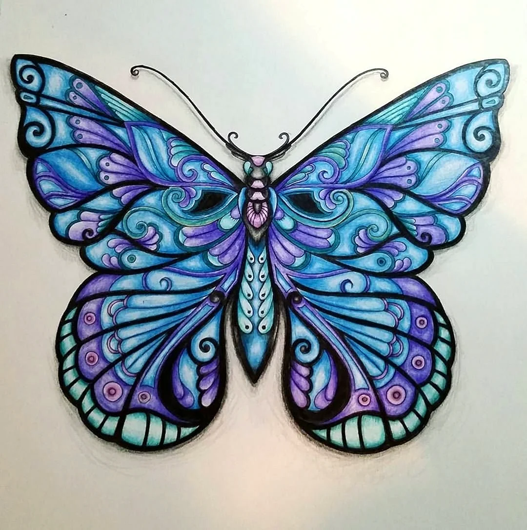 Красивая бабочка раскраска