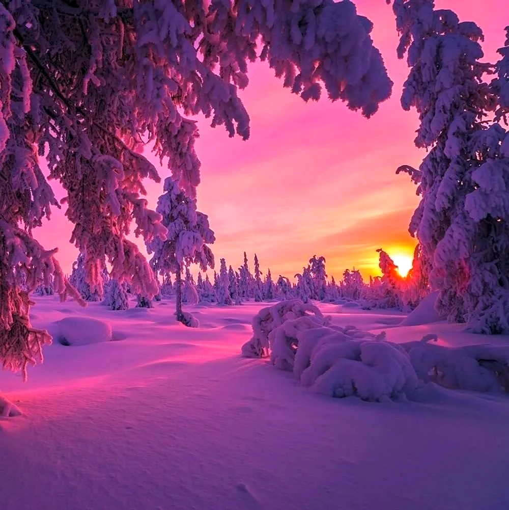 Красивый рассвет зимний