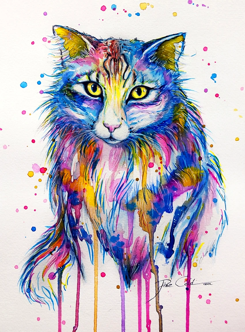 Разноцветный кот