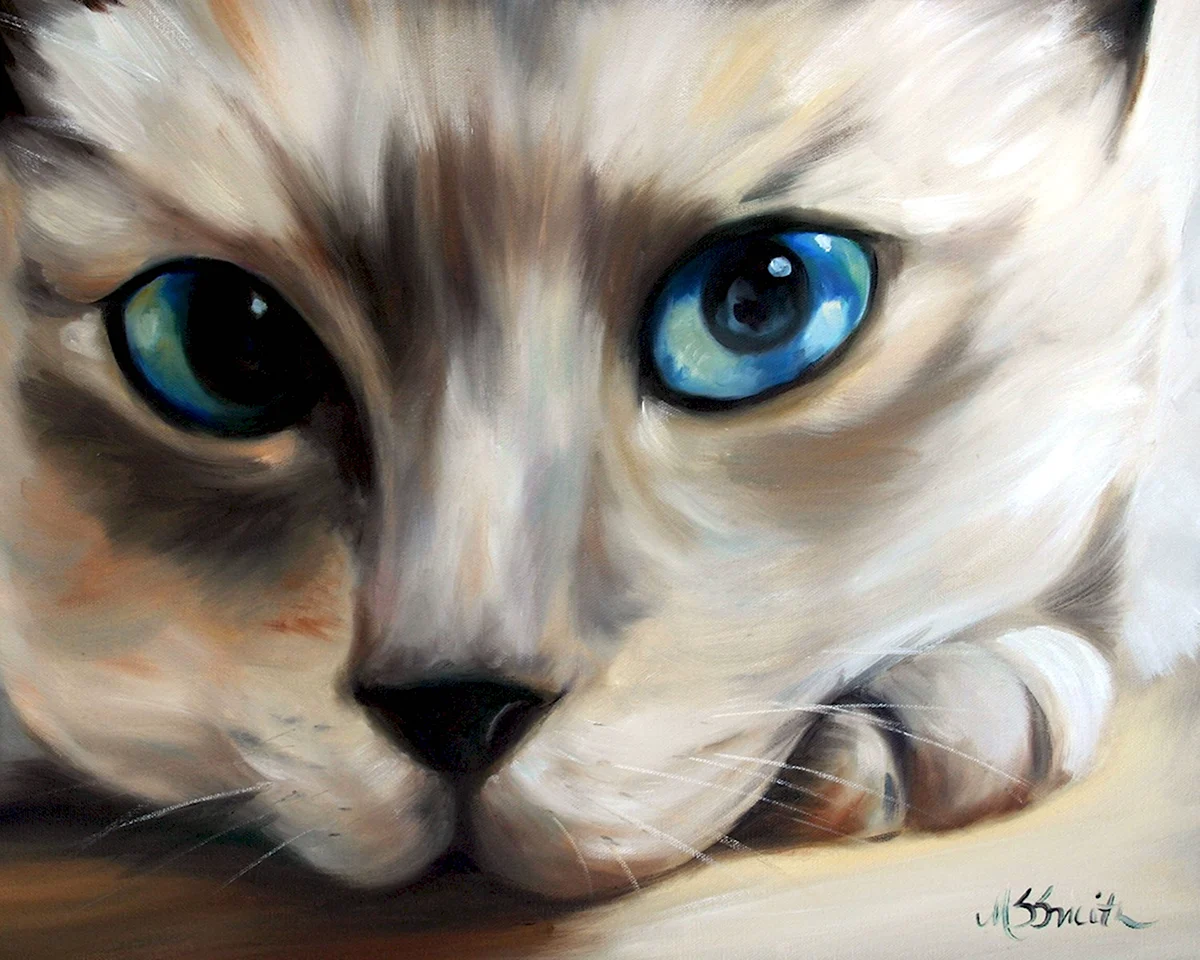 Реалистичные коты