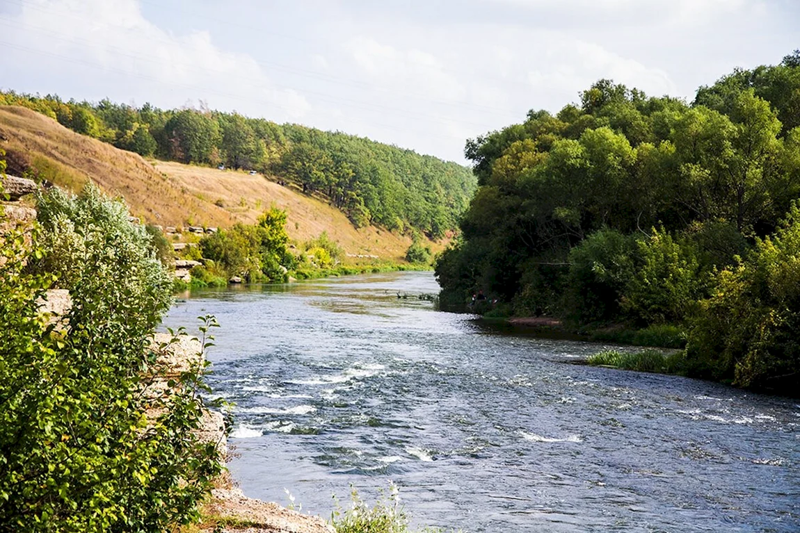 Рыбалка на красивой мече (33 фото)