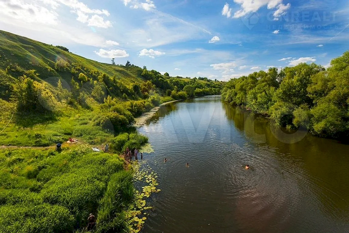 Рыбалка на красивой мече (33 фото)