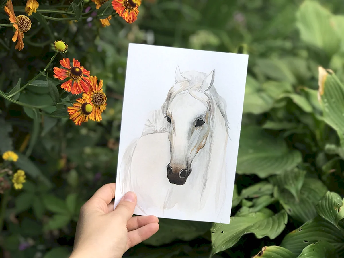 Рисунки