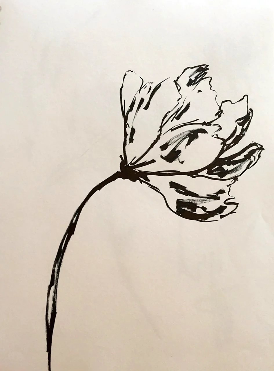 Рисунки чернилами